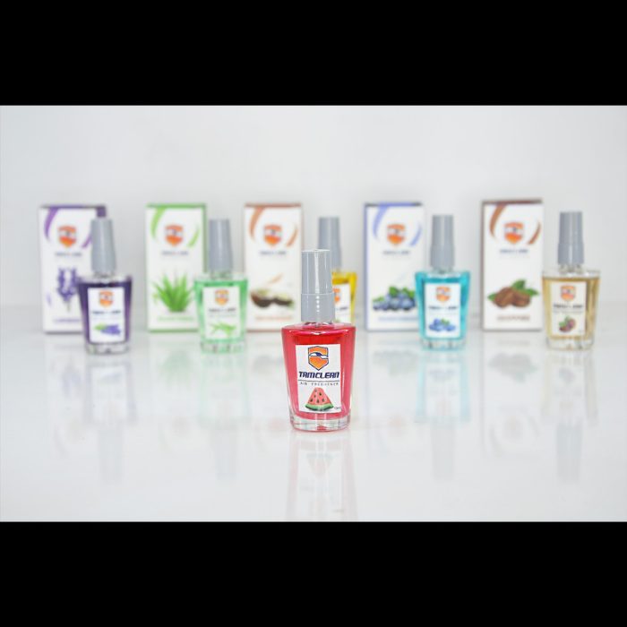 خوشبو کننده خودرو تام کلین مدل TC-FI10NWS حجم 10 میلی لیتر