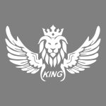 برچسب بدنه خودرو ماتریسیو طرح بال king کد M247