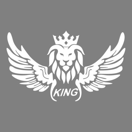برچسب بدنه خودرو ماتریسیو طرح بال king کد M247