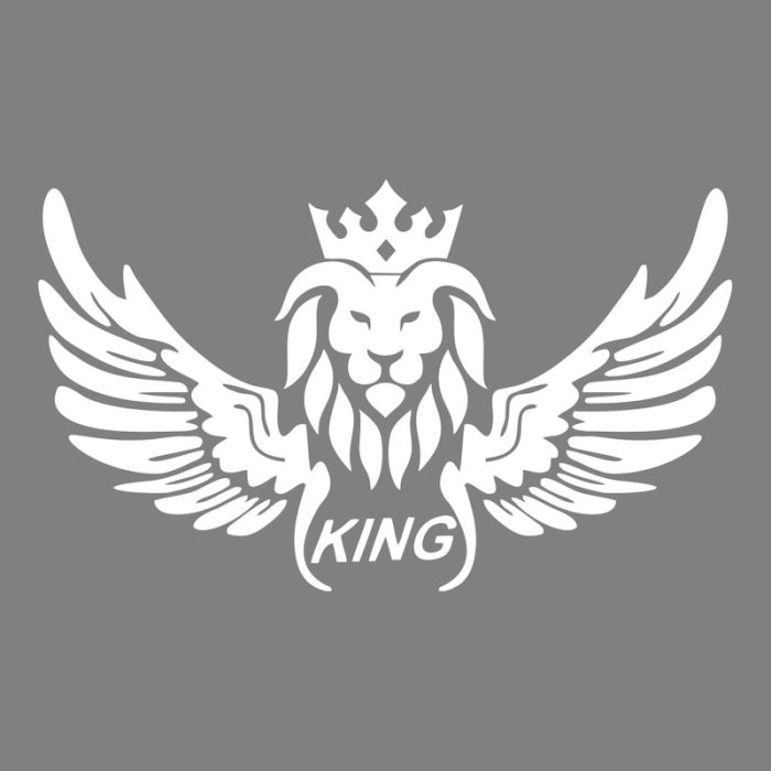 برچسب بدنه خودرو ماتریسیو طرح بال king کد M247