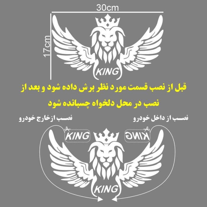 برچسب بدنه خودرو ماتریسیو طرح بال king کد M247