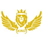 برچسب بدنه خودرو ماتریسیو طرح بال کد M08