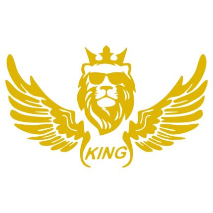 برچسب بدنه خودرو ماتریسیو طرح بال کد M08