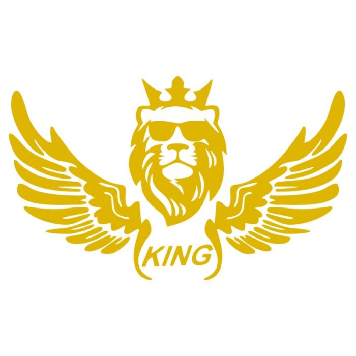 برچسب بدنه خودرو ماتریسیو طرح بال کد M08