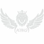 برچسب بدنه ی خودرو طرح بال کد SB101
