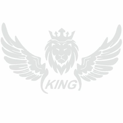 برچسب بدنه ی خودرو طرح بال کد SB101