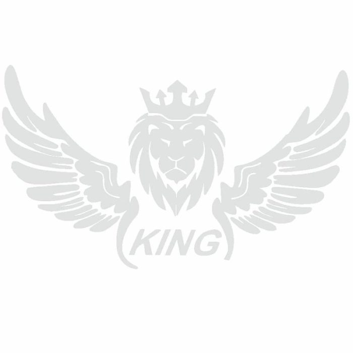 برچسب بدنه ی خودرو طرح بال کد SB101