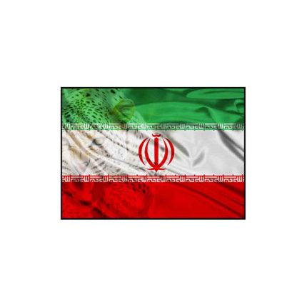 برچسب بدنه خودرو تیداکس گروپ طرح ایران مدل TII050