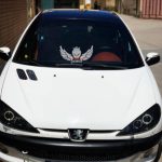 برچسب بدنه ی خودرو طرح بال کد SB101