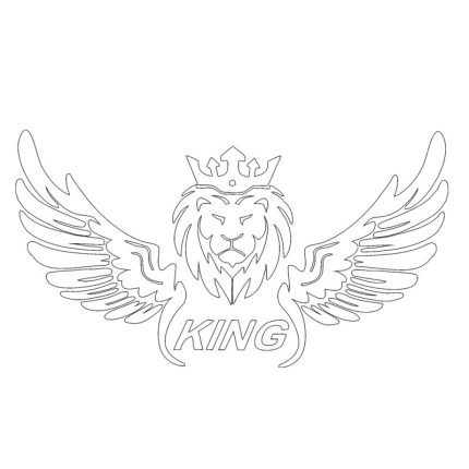 برچسب بدنه خودرو طرح بال کد SB0101