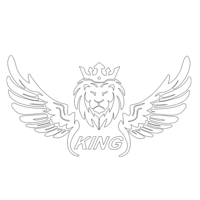 برچسب بدنه خودرو طرح بال کد SB0101