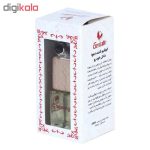 خوشبوکننده خودرو جنتالین مدل chewing gum
