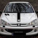 برچسب بدنه خودرو اسپرت غدیر طرح  HOOD CAR کد 04