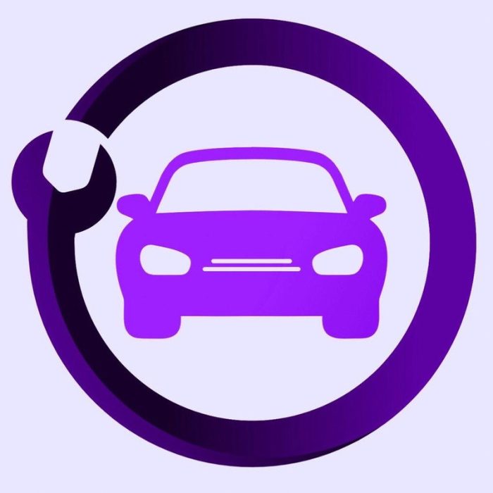 قاب ستون وسط بیرونی سمت راست چیکال مدل CH 0861 مناسب برای پراید