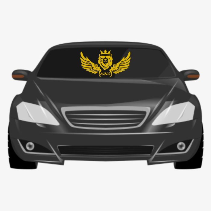 برچسب بدنه خودرو ماتریسیو طرح بال کد M08