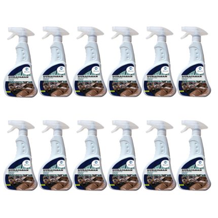 اسپری تمیز کننده داخل خودرو سیواکس مدل CW-500ml حجم 500 میلی لیتر بسته 12 عددی